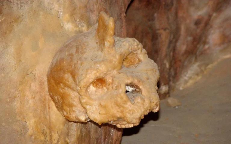 Загадочный череп гоминида врос в стену греческой пещеры