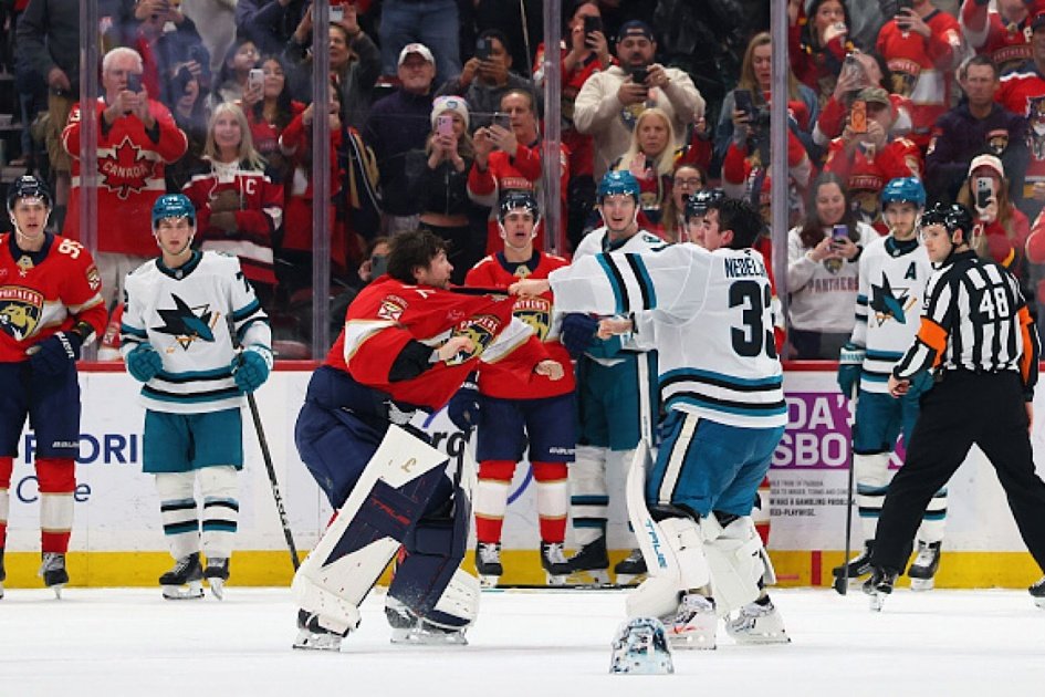 Бобровский и Неделькович устроили драку на льду