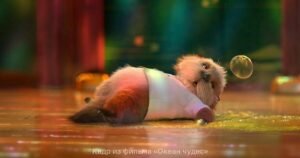 Что смотреть в кино на новогодних каникулах: новинки и классика