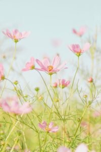 Экономика ИИ перевернулась: почему быть лучшим больше не имеет значения