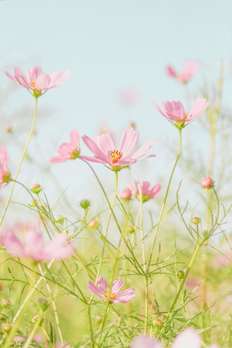 Экономика ИИ перевернулась: почему быть лучшим больше не имеет значения