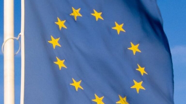 ЕС и Южная Америка заключили скандальную сделку: детали и проблемы