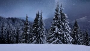 Федосеевские морозы ударят по России: прогноз синоптиков