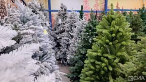 Юрист предупредила о штрафах за неправильную утилизацию новогодней елки