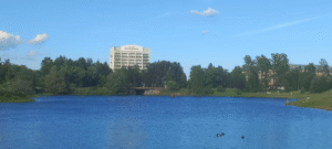 Карельские компании вошли в число лучших работодателей России