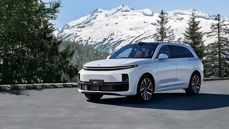 Li Auto не справляются с русской зимой
