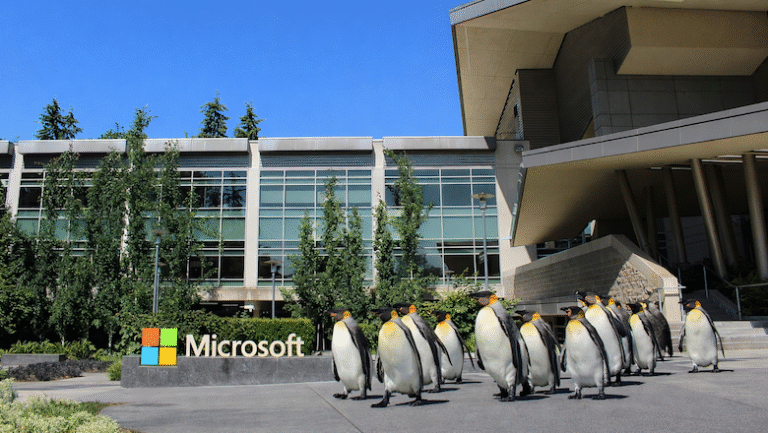 Миграция на Linux: почему пользователи Windows выбирают Zorin OS и другие дистрибутивы