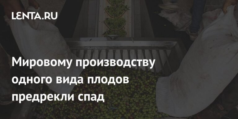 Мировое производство оливок ожидает спад в 2025-2026 году
