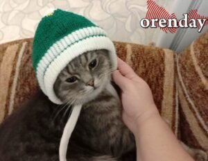 Неблагоприятные погодные условия ожидаются в Оренбургской области 4 января