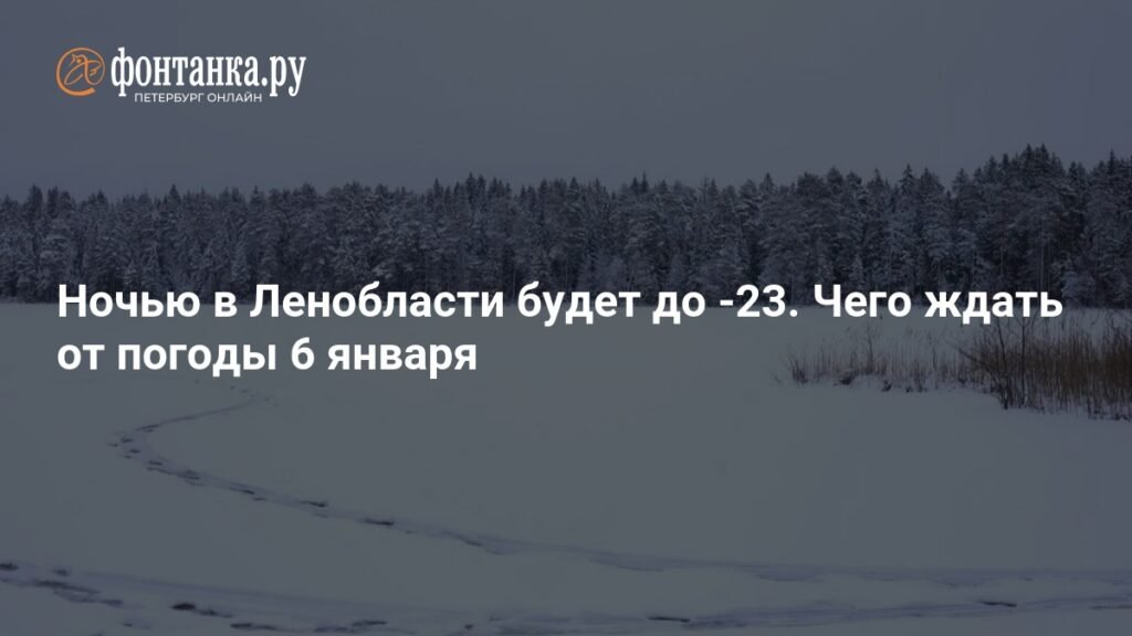 Погода в Ленобласти: ночью до -23°C 6 января