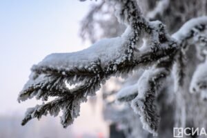 Сильные морозы и снег ожидаются в Якутии 10 января