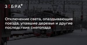 Снегопад в Владимирской области: отключение света, задержки поездов и упавшие деревья