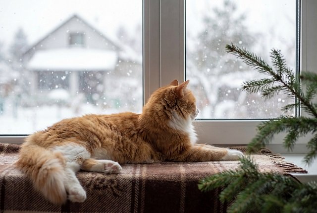 Татарстан ждут морозы до -31°C и сильный ветер