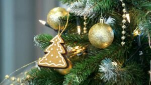 Утилизация новогодней елки: правила и советы эксперта