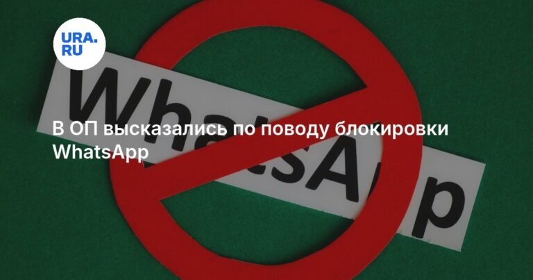 В Общественной палате объяснили блокировку WhatsApp
