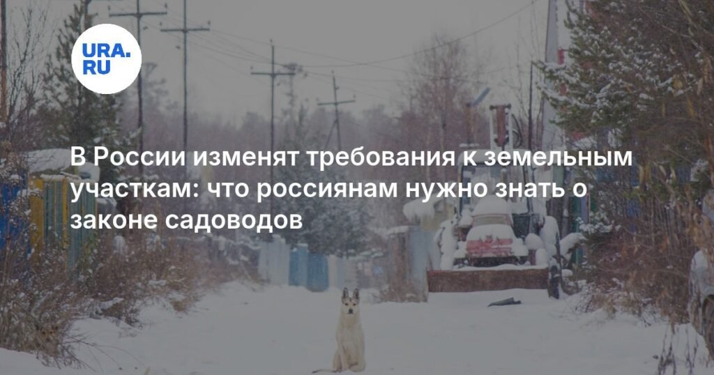 В России изменят требования к земельным участкам для садоводов