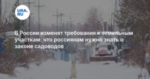 В России изменят требования к земельным участкам для садоводов