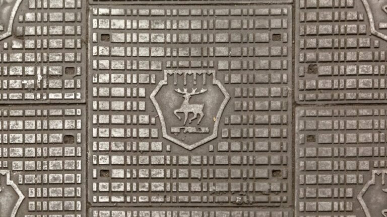 В России продают раритетную «Волгу» ГАЗ-31029 с минимальным пробегом