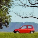 В России выставлена на продажу новая «Ока»: цена и состояние