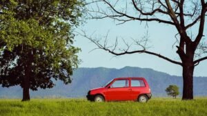 В России выставлена на продажу новая «Ока»: цена и состояние