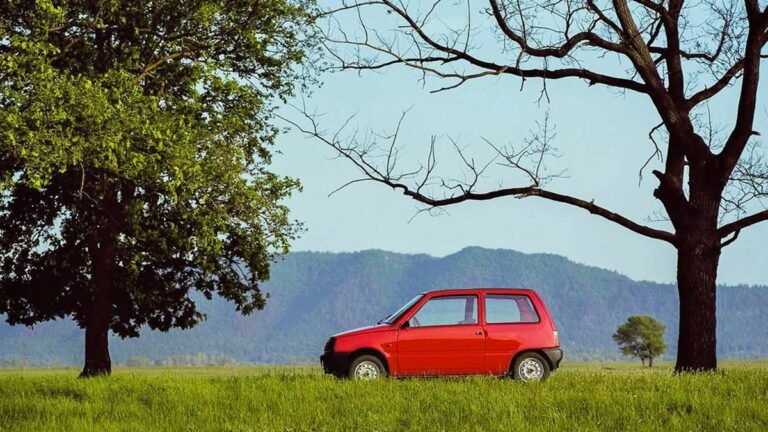 В России выставлена на продажу новая «Ока»: цена и состояние