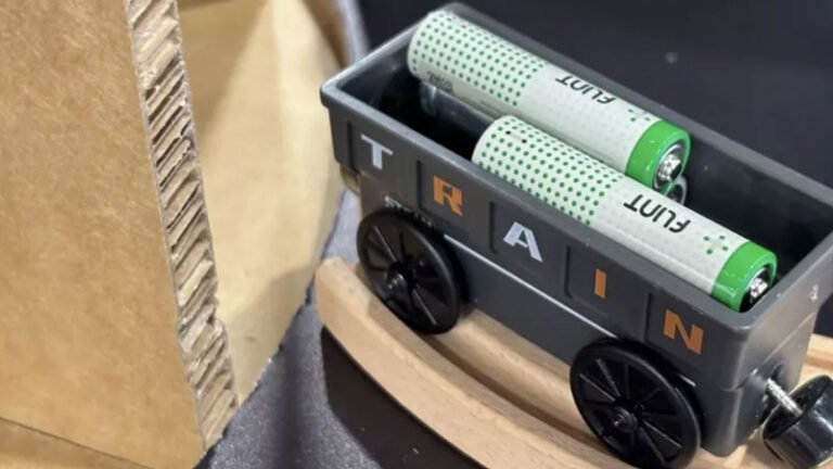 В Сингапуре начался выпуск экологически чистых батареек из воды и древесины