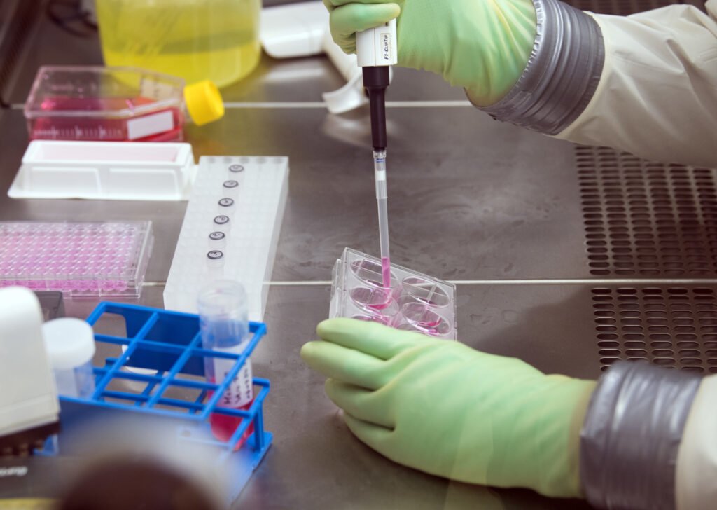 Вирус Нипах: новая угроза из Индии