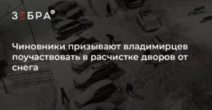 Власти Владимирской области призывают жителей помочь в расчистке дворов от снега