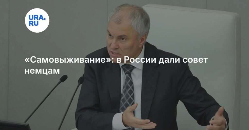 Володин: немцам следует думать о самовыживании