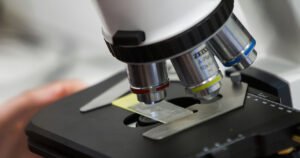 Вспышка смертельного вируса Нипах в Индии: что известно и есть ли угроза для России