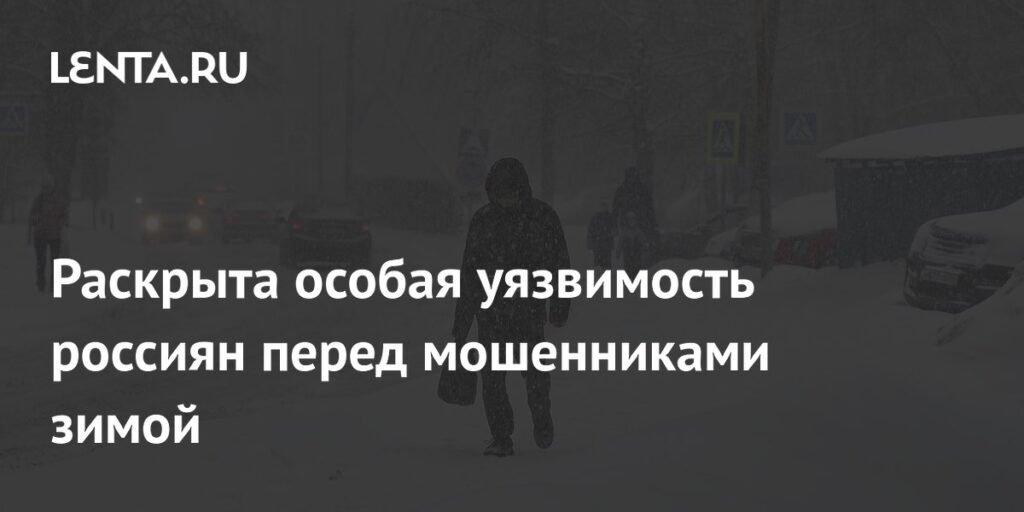 Зимняя уязвимость: как мошенники пользуются сезонной апатией россиян