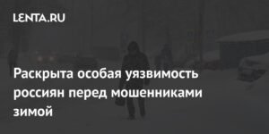 Зимняя уязвимость: как мошенники пользуются сезонной апатией россиян