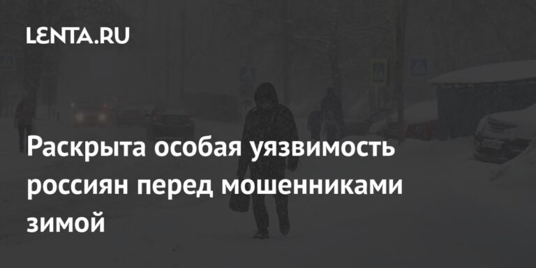 Зимняя уязвимость: как мошенники пользуются сезонной апатией россиян