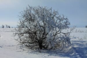 Февраль в Оренбуржье будет теплым: прогноз синоптиков Росгидромета