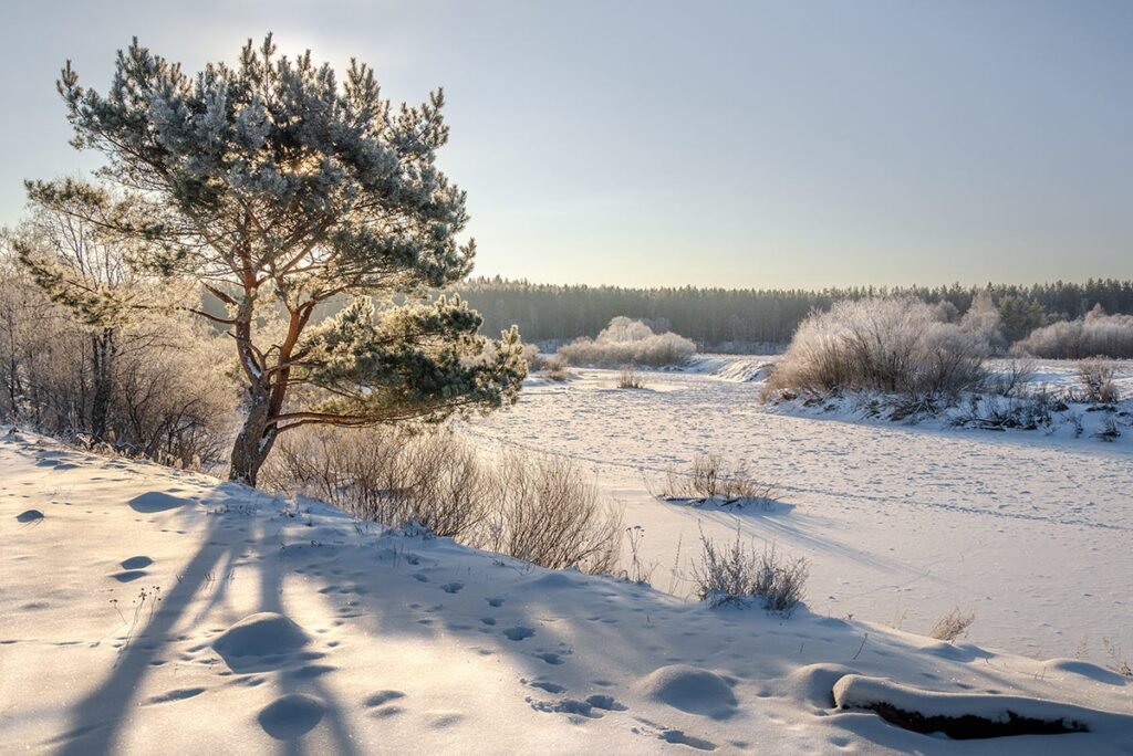 Гидрометцентр предупредил об аномальных холодах в Тверской области