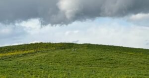 Холм с обоев Windows XP спустя 30 лет: зеленая память