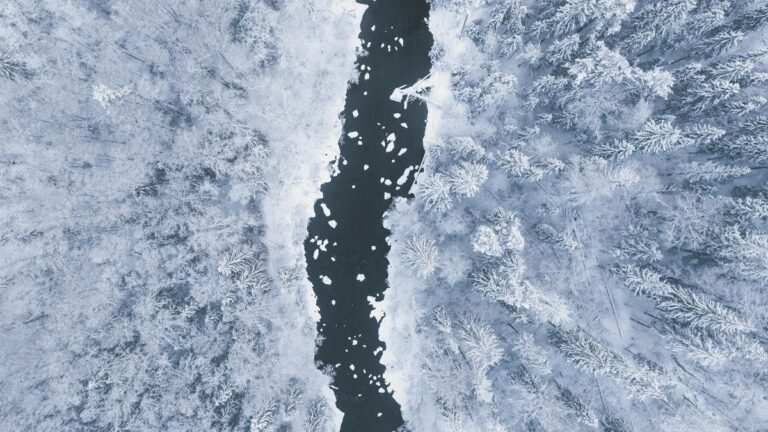 Китай прокладывает 'Полярный Шелковый путь': амбиции в Арктике