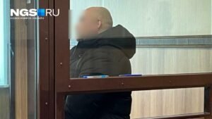 Новосибирца обвинили в заказе убийства матери и отправили в СИЗО