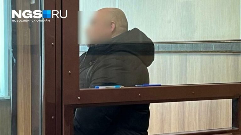 Новосибирца обвинили в заказе убийства матери и отправили в СИЗО