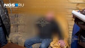 Новосибирца задержали за попытку убить мать из-за денег