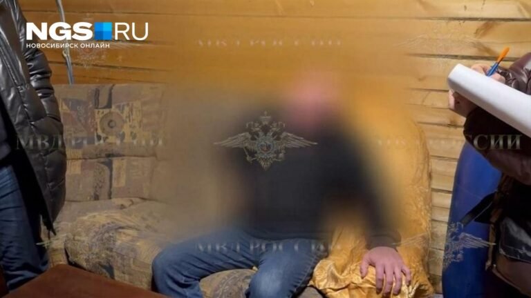 Новосибирца задержали за попытку убить мать из-за денег