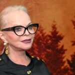 Новые детали дела Долиной и Леди Mail: подробности конфликта