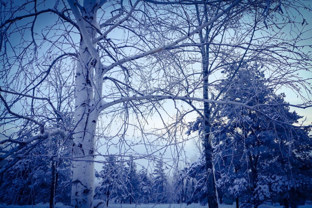 Погода в Сызрани и Самаре на последние длинные выходные зимы