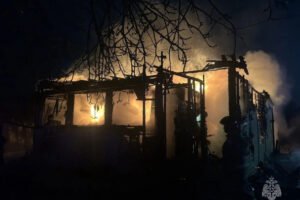 Пожары в садоводствах Ленобласти: последствия и причины