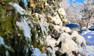 Самарская область снова в снежном плену: циклон «Валли» надвигается