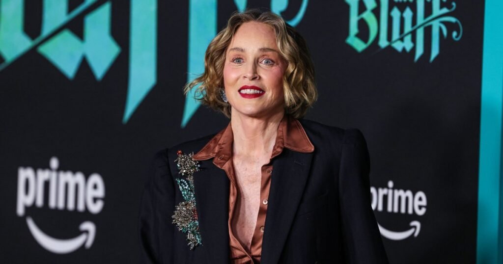 Шэрон Стоун в смелом образе на кинопремьере