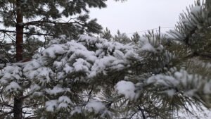 Штормовое предупреждение в Бурятии: сильный ветер и снег