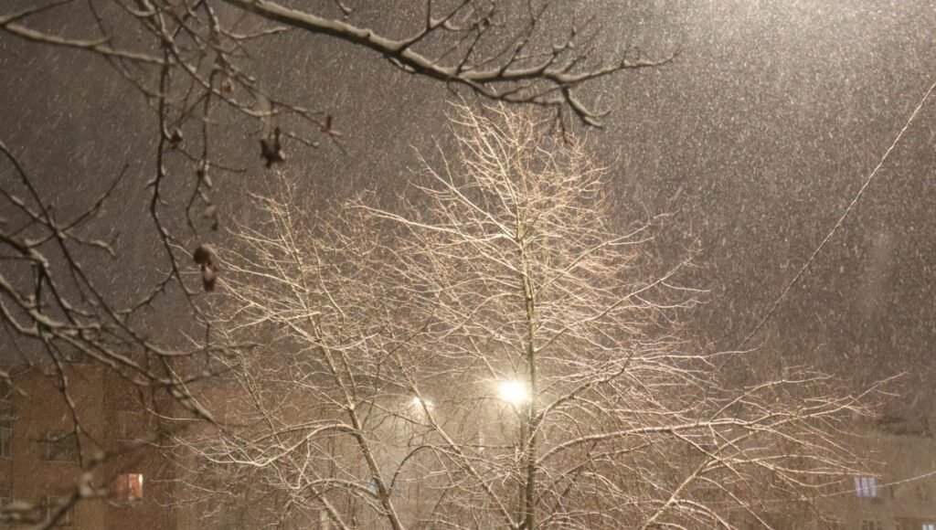 Снегопады в Подмосковье: прогноз на конец февраля