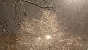 Снегопады в Подмосковье: прогноз на конец февраля