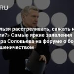 Соловьев предложил радикальные меры борьбы с кибермошенниками